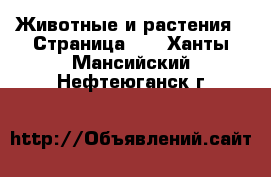  Животные и растения - Страница 11 . Ханты-Мансийский,Нефтеюганск г.